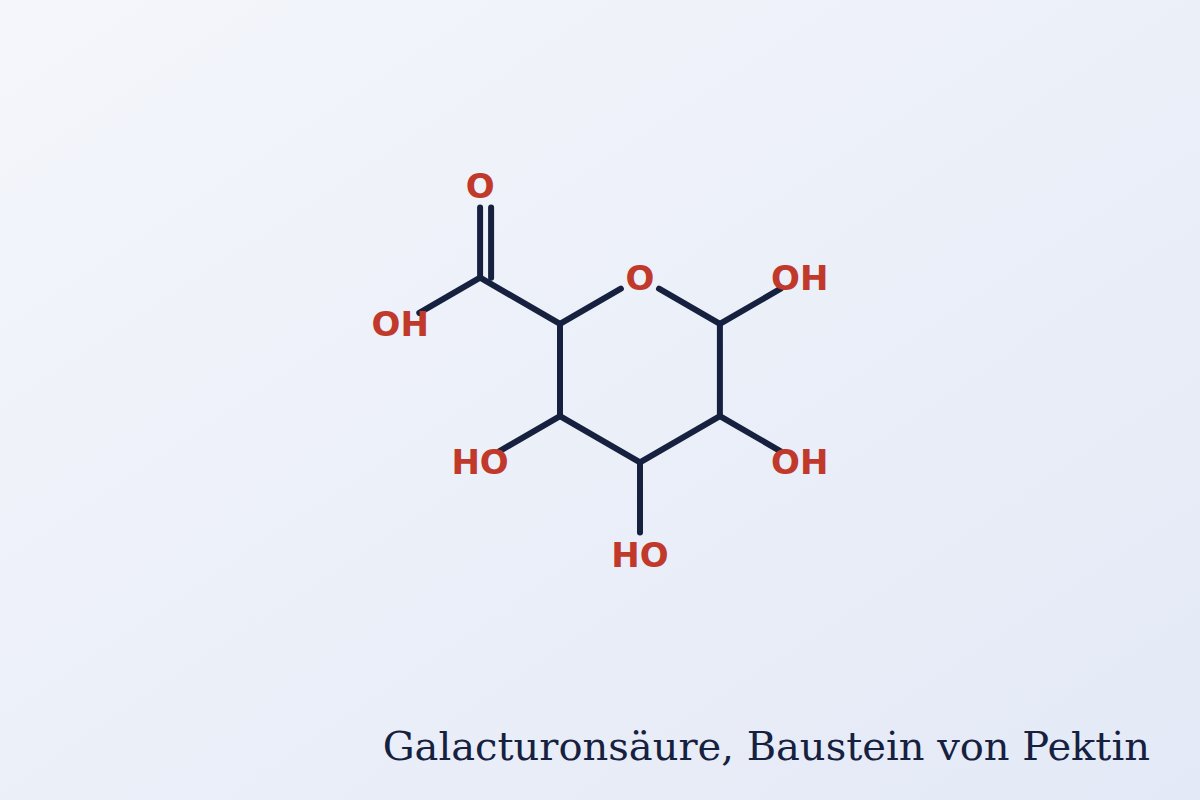 Galacturonic acid, the main building block of pectin