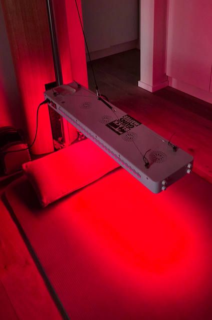 Red Light Therapy